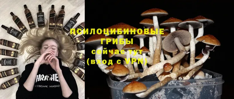 Галлюциногенные грибы Magic Shrooms  дарнет шоп  Ангарск 